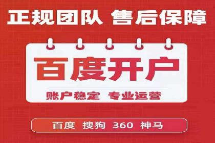Sem优化公司案例：精准广告投放策略解析
